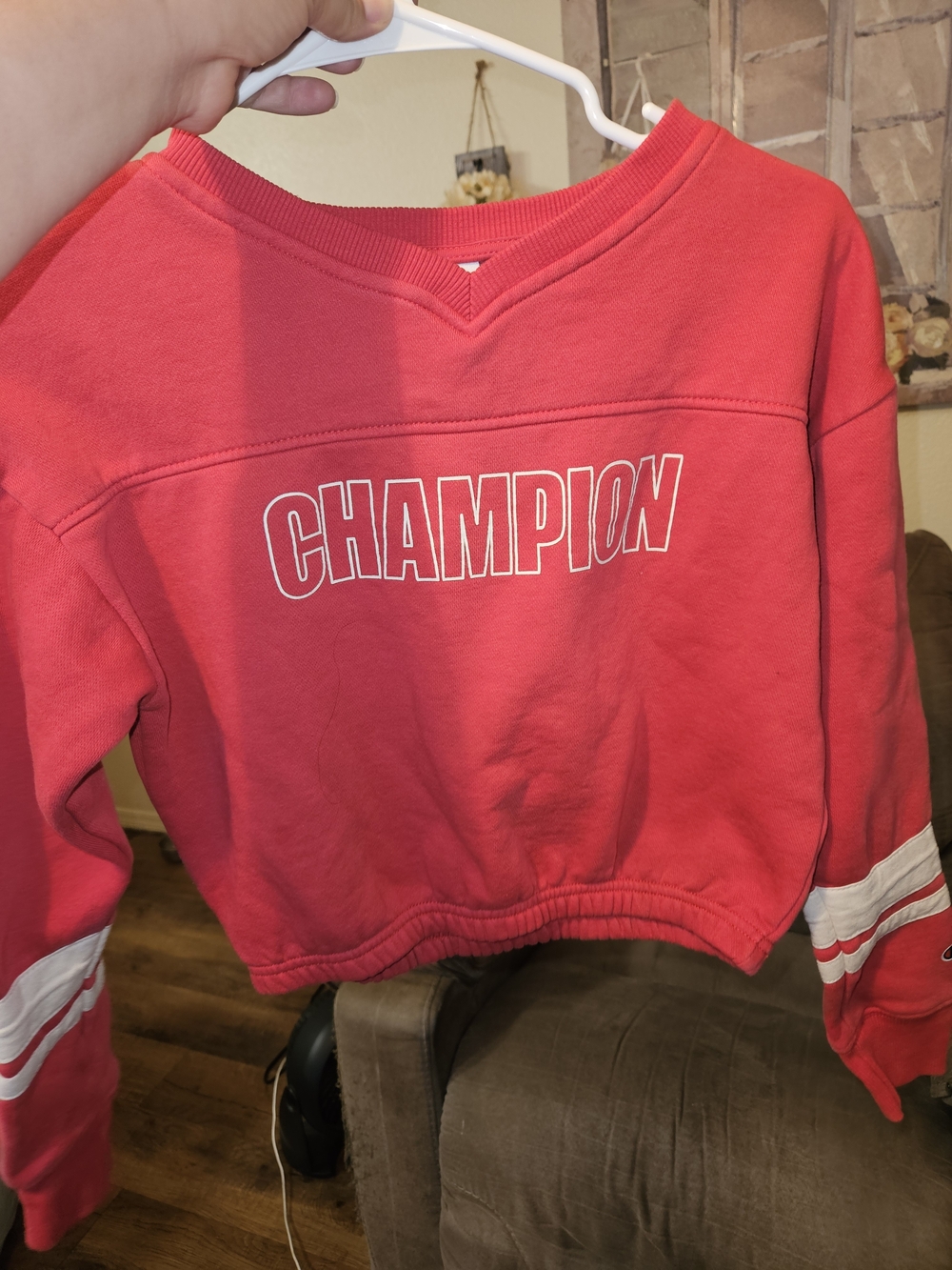 Champion Red Cropped Crewneck Sweatshirt with Sleeve Stripes